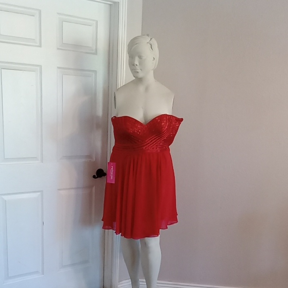 Nwt Poly USA Homecoming  Dress Size XXL